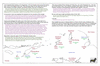 coo1f03 to savu_thumb.gif